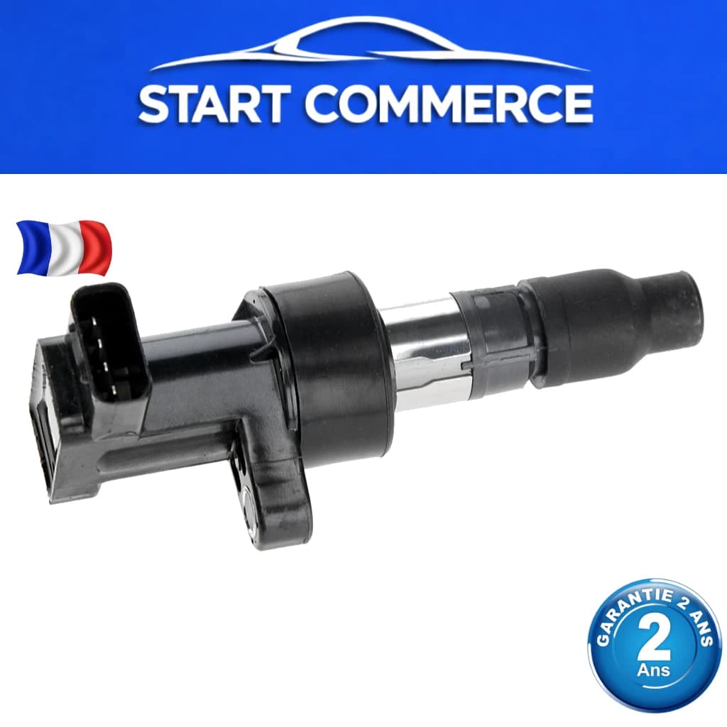 NTY Bobine d'allumage