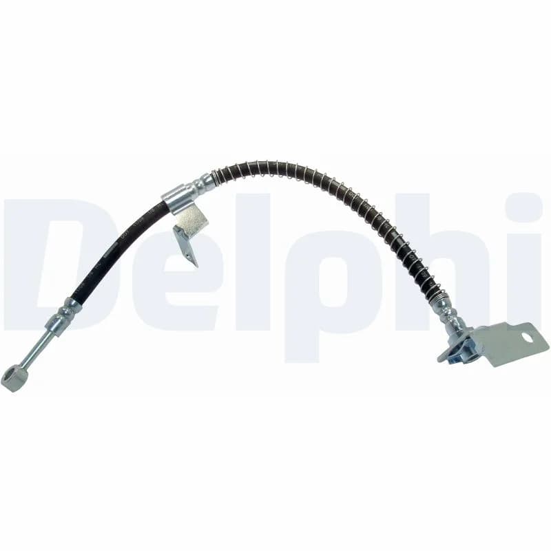 Delphi Flexible de frein