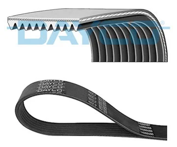 Dayco Courroie striée HD 10 stries - 1188 mm