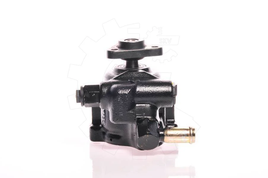 SKV Pompe de direction assistée Ford Escort