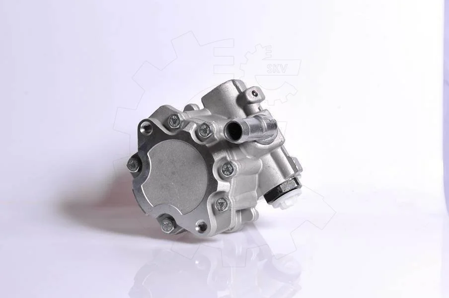 SKV pompe de direction assistée hydraulique saginaw-zf-kayaba sans poulie