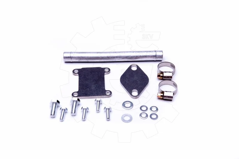 SKV Kit de réparation EGR