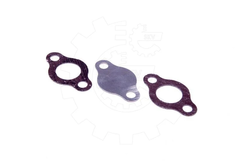 SKV Kit de réparation EGR