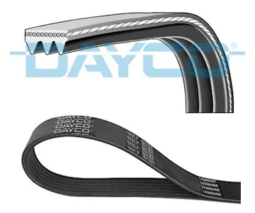 Dayco Courroie striée