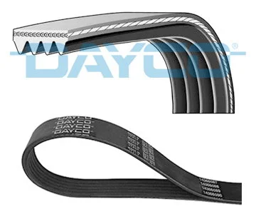 Dayco Courroie striée