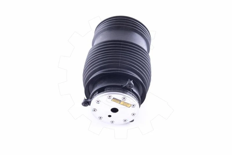 SKV coussin pneumatique de suspension arrière gauche