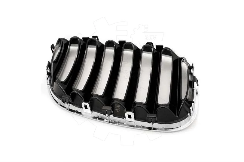 SKV Grille de radiateur BMW X5 E53 Facelift