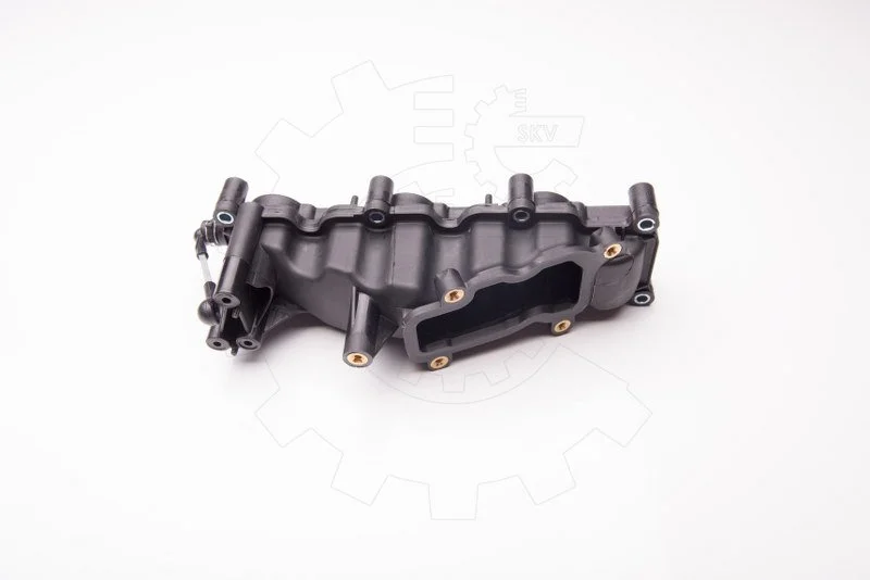 SKV Module de collecteur d'admission