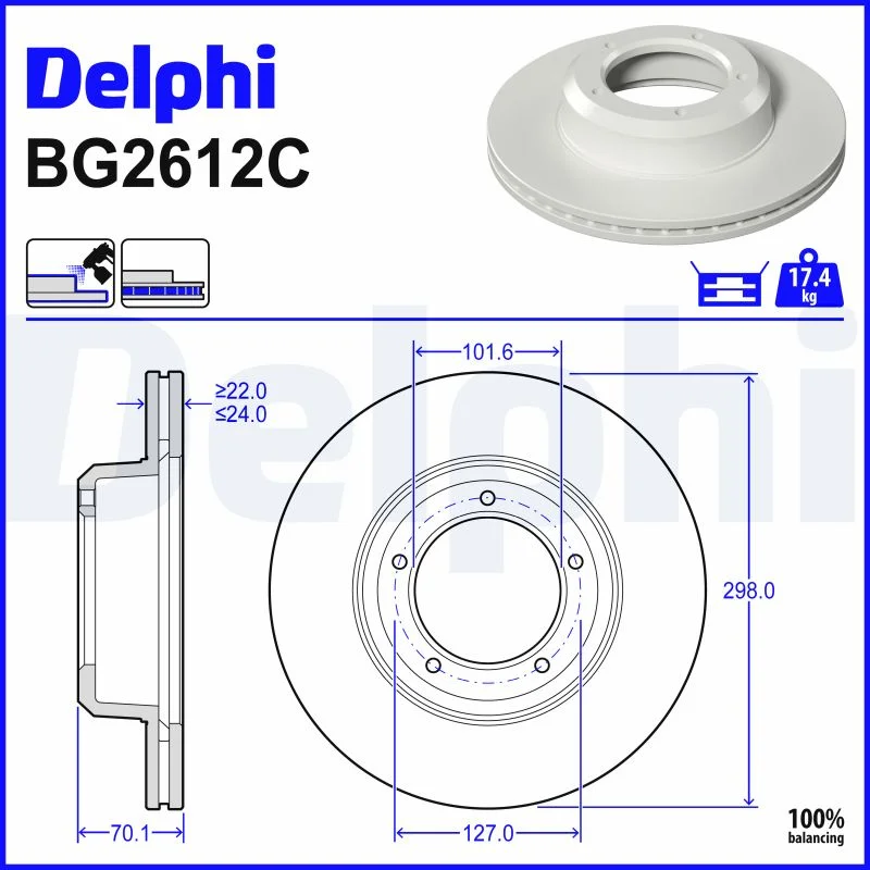DELPHI jeu de 2 disques de frein peints