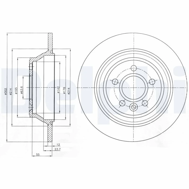 DELPHI jeu de 2 disques de frein peints
