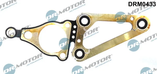 DR.MOTOR joint