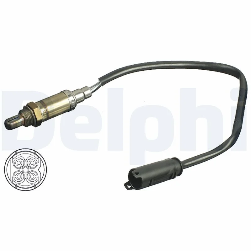 DELPHI sonde à oxygène