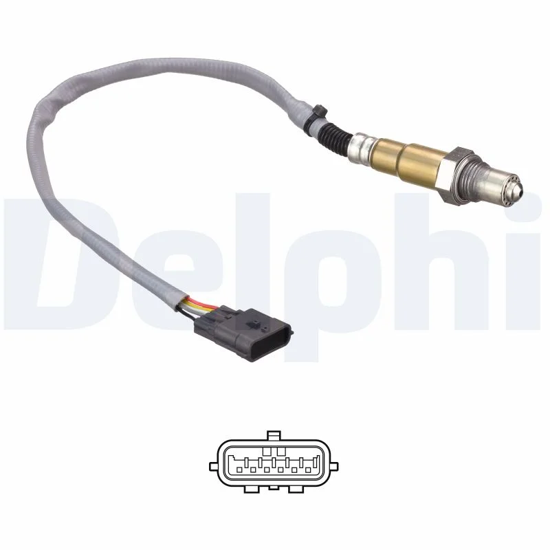 DELPHI sonde à oxygène
