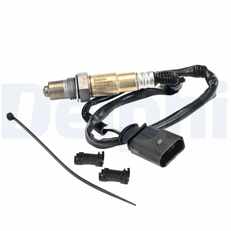 DELPHI sonde à oxygène