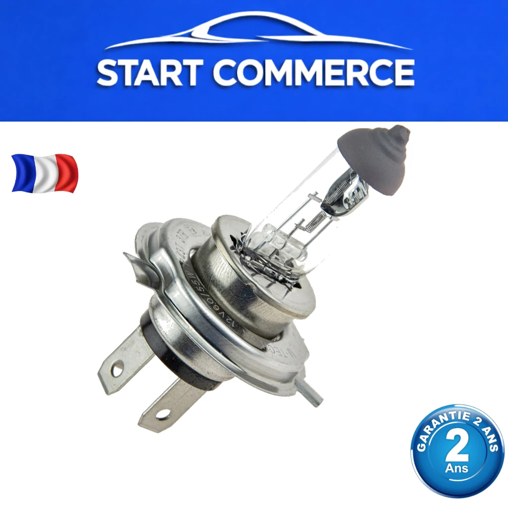 NTY Ampoule halogène H4 12V 60/55W (lot de 10)