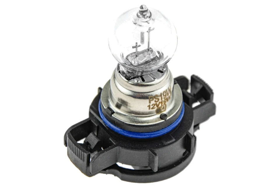 NTY ampoule ps19w standard (lot de 10)