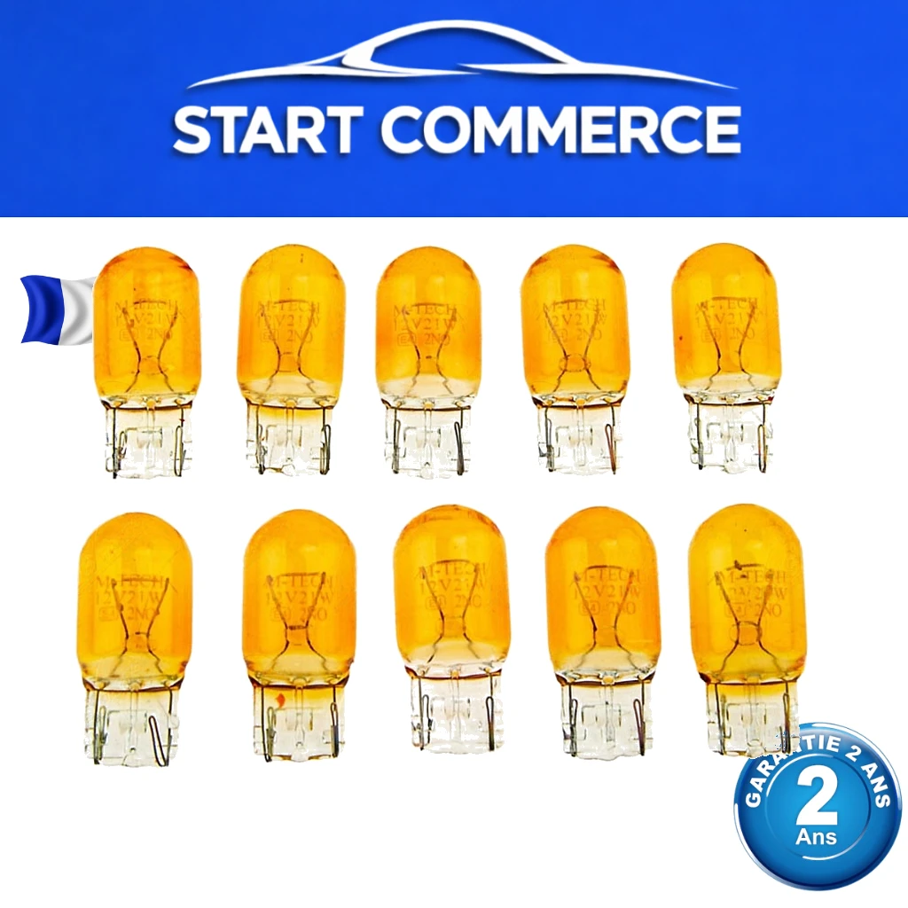 NTY Ampoule WY21W orange (lot de 10)