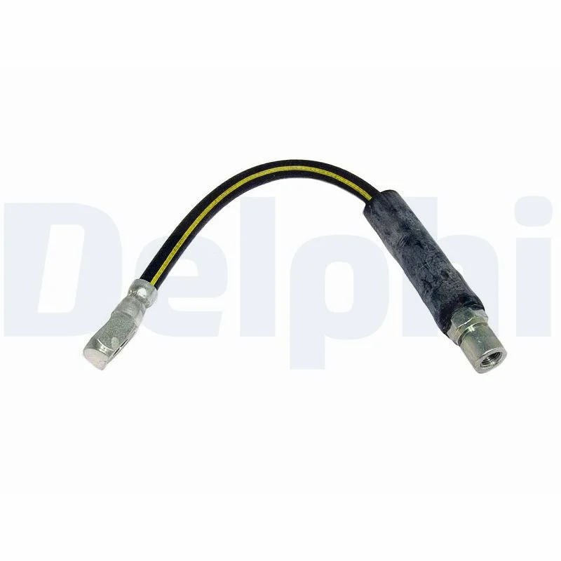 Delphi Flexible de frein