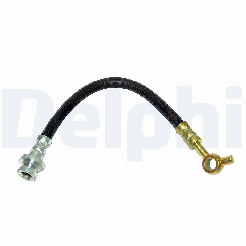 Delphi Flexible de frein