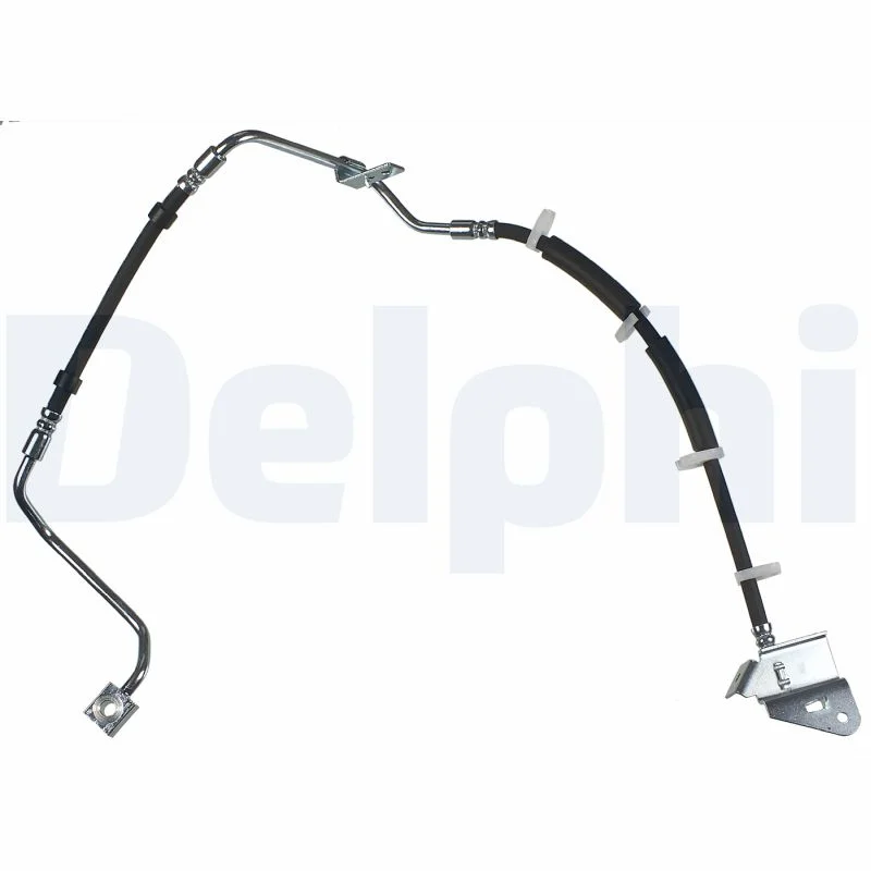 Delphi Flexible de frein