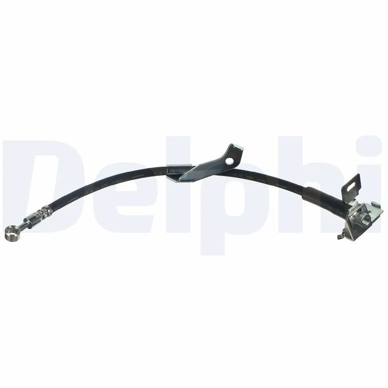 Delphi Flexible de frein