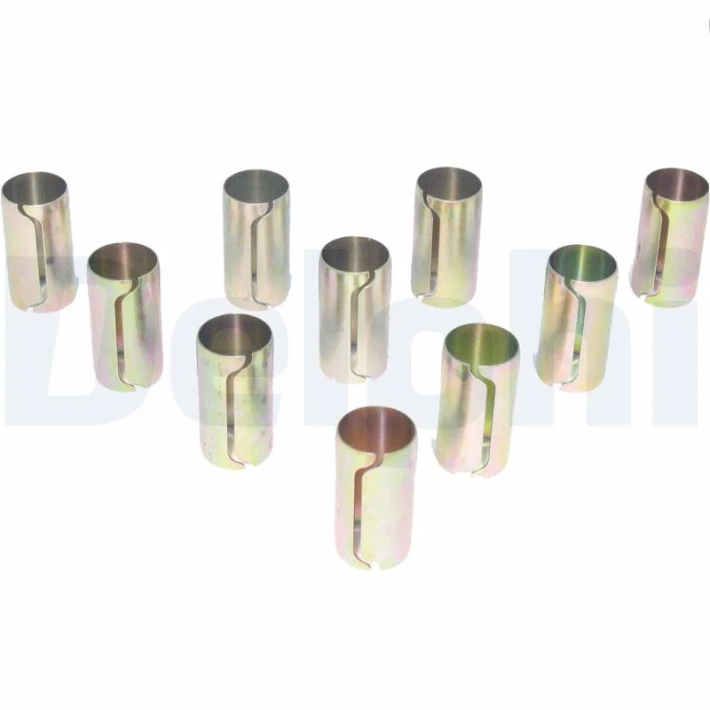 Delphi Silentblocs x10