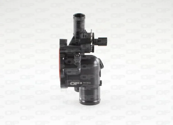 Open Parts Thermostat